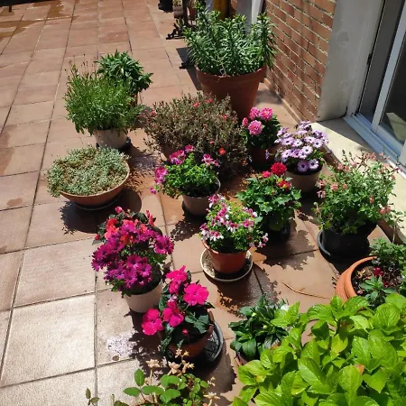 Matillas بيت ضيافة