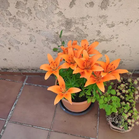 Matillas بيت ضيافة ميراندا دي إيبرو