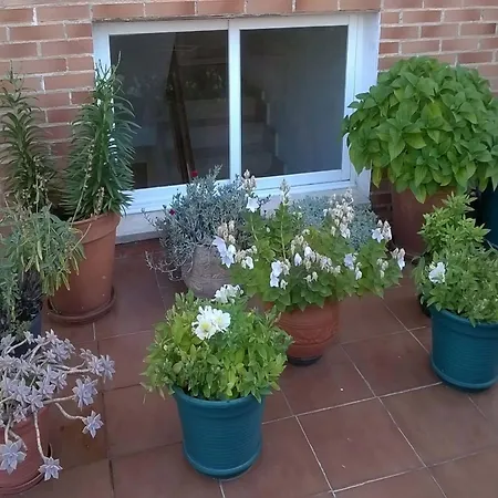 Matillas 2* ميراندا دي إيبرو