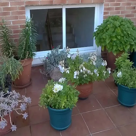 Matillas بيت ضيافة ميراندا دي إيبرو