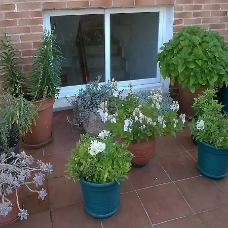 Matillas بيت ضيافة 2*