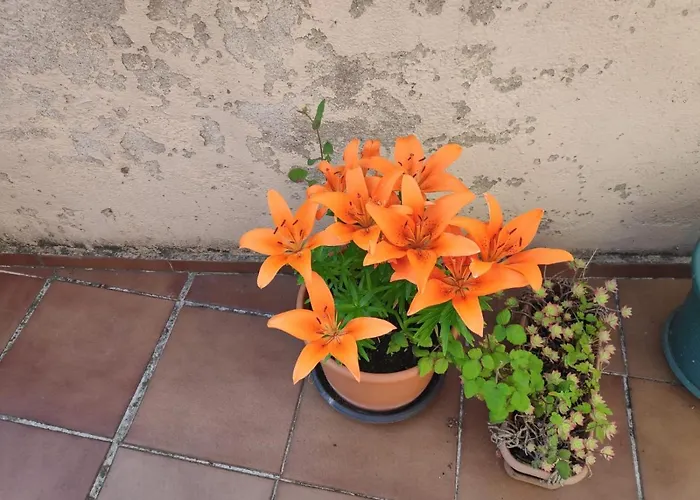 Matillas 게스트하우스 미란다데에브로