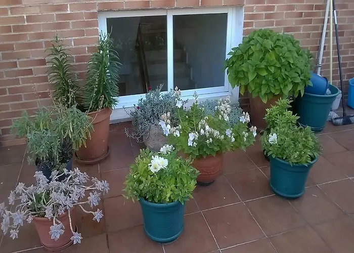 Matillas 게스트하우스 2*